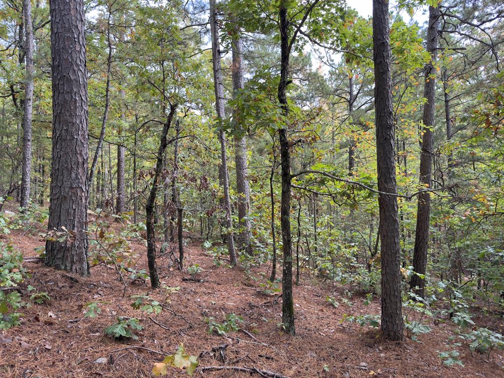 Indian Highway 144 Property Photo 22