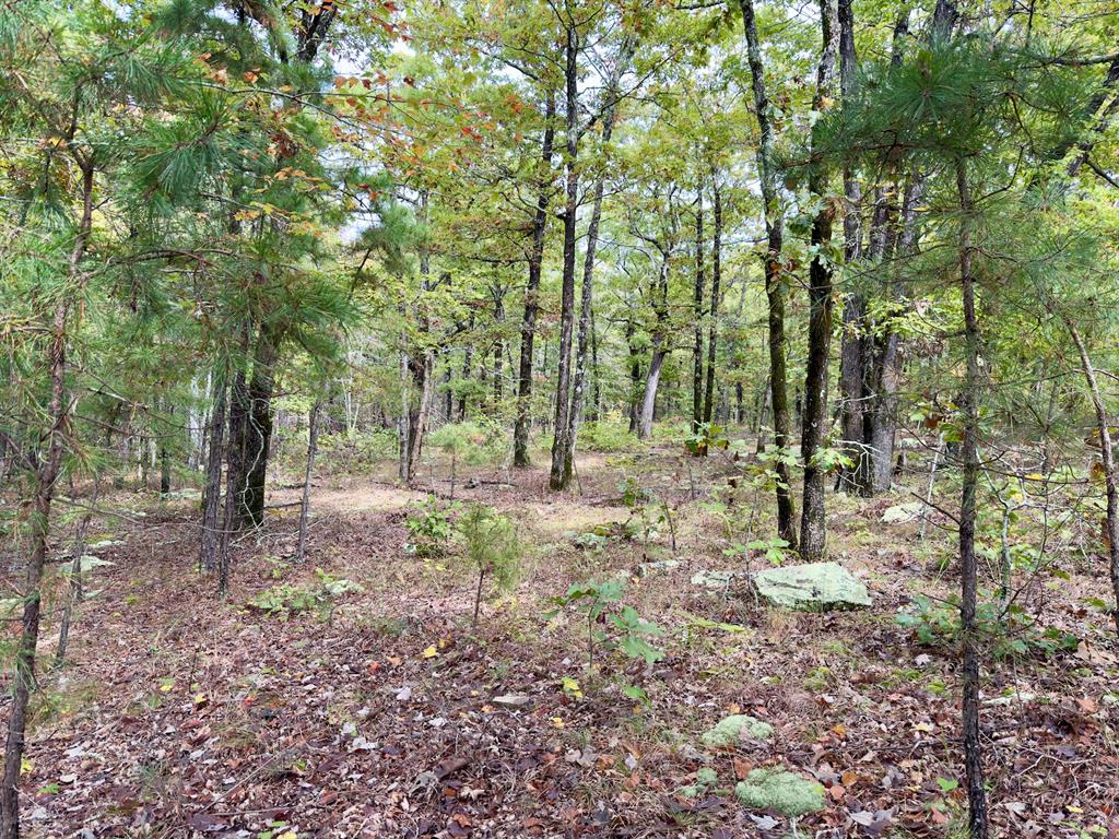 Indian Highway 144 Property Photo 25