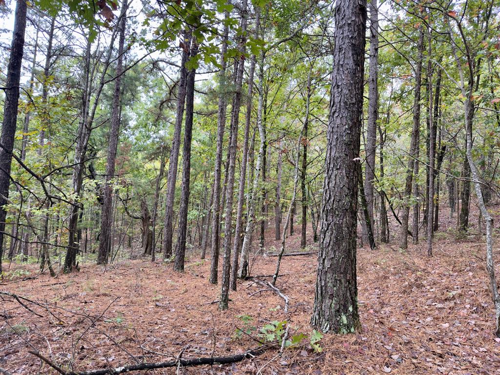 Indian Highway 144 Property Photo 26
