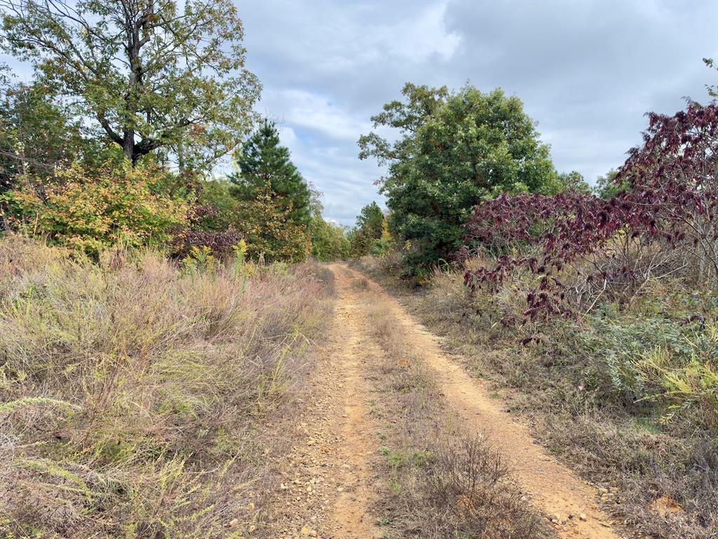Indian Highway 144 Property Photo 27