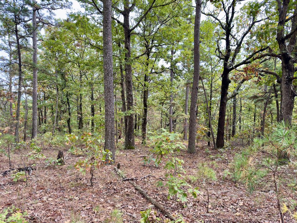 Indian Highway 144 Property Photo 28