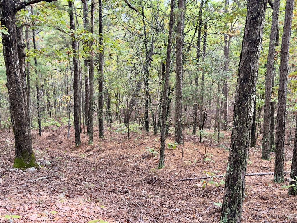 Indian Highway 144 Property Photo 29