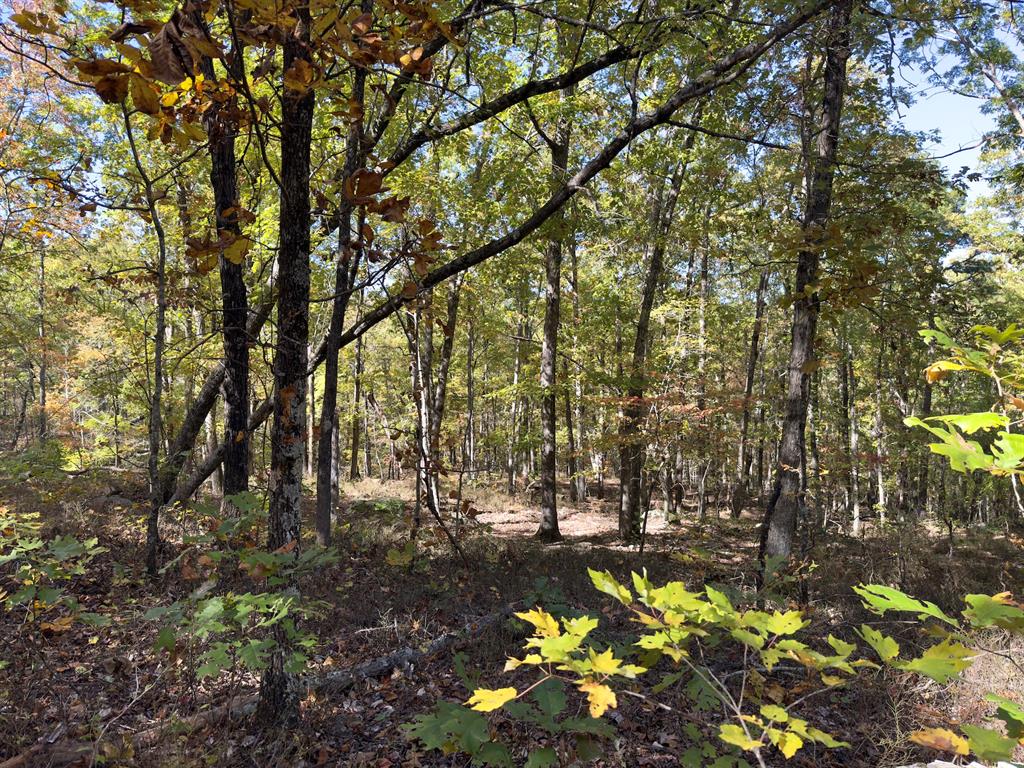 Indian Highway 144 Property Photo 32