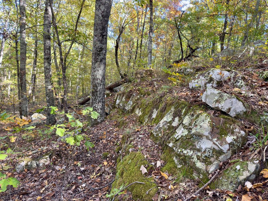 Indian Highway 144 Property Photo 33