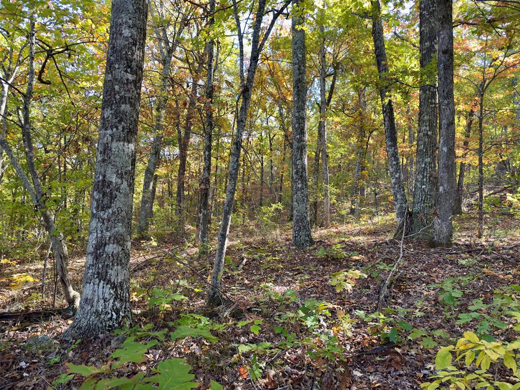 Indian Highway 144 Property Photo 34