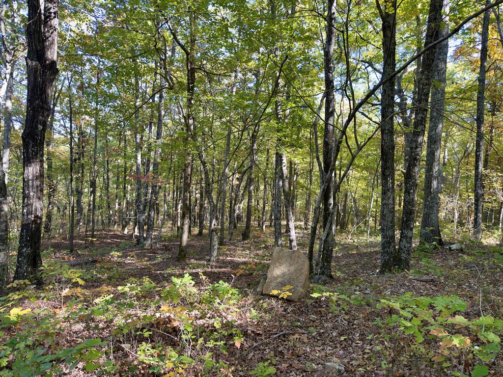 Indian Highway 144 Property Photo 37