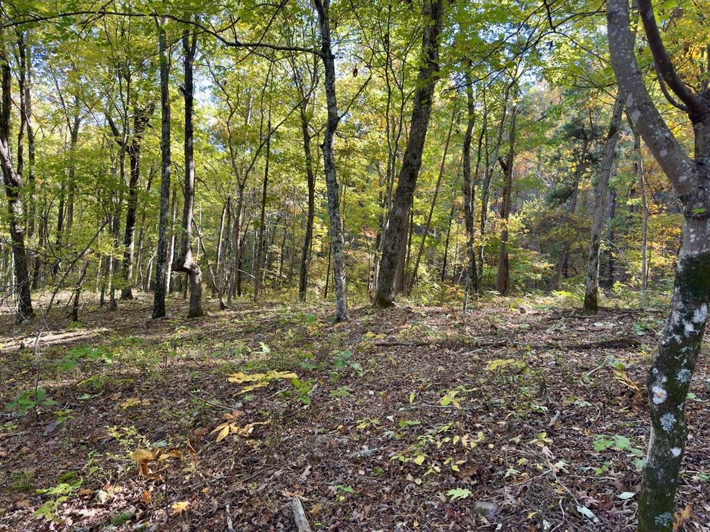 Indian Highway 144 Property Photo 38