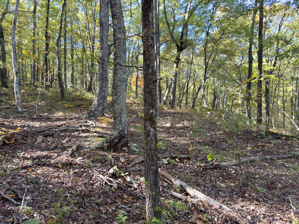 Indian Highway 144 Property Photo 39