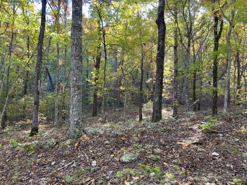 Indian Highway 144 Property Photo 40
