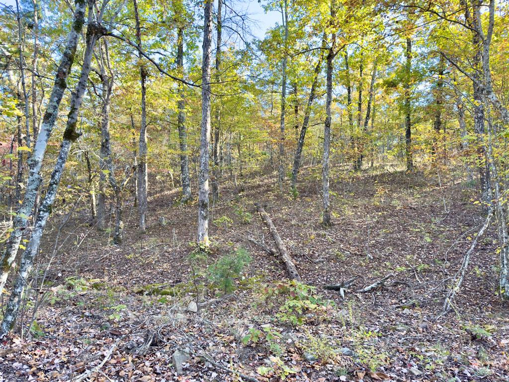 Indian Highway 144 Property Photo 41