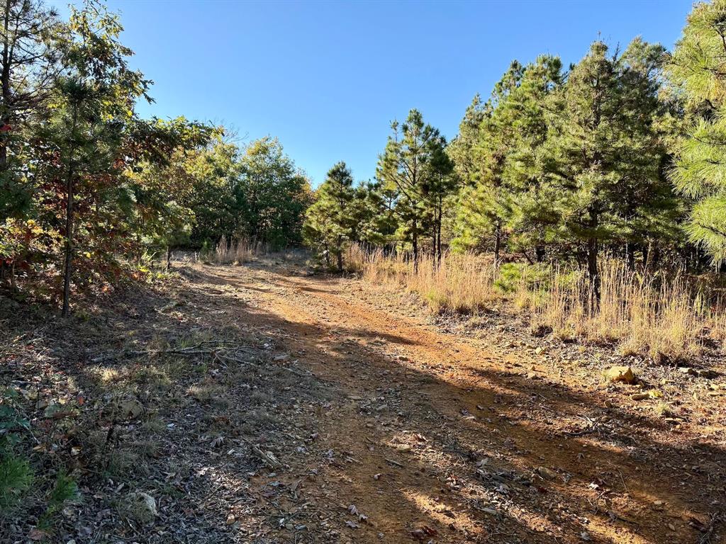 Indian Highway 144 Property Photo 43