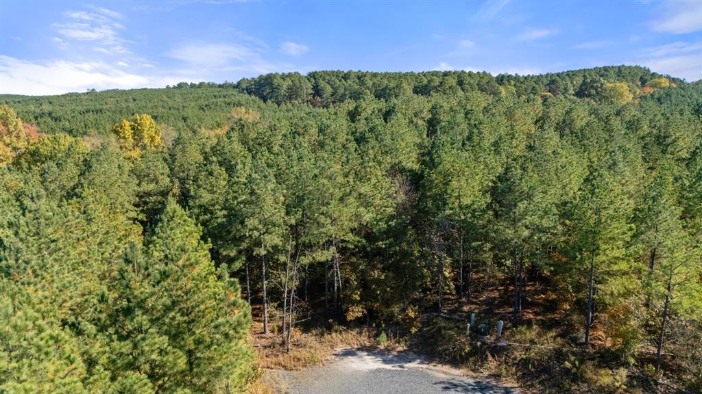 14 Gopher Wood Trail Property Photo 1