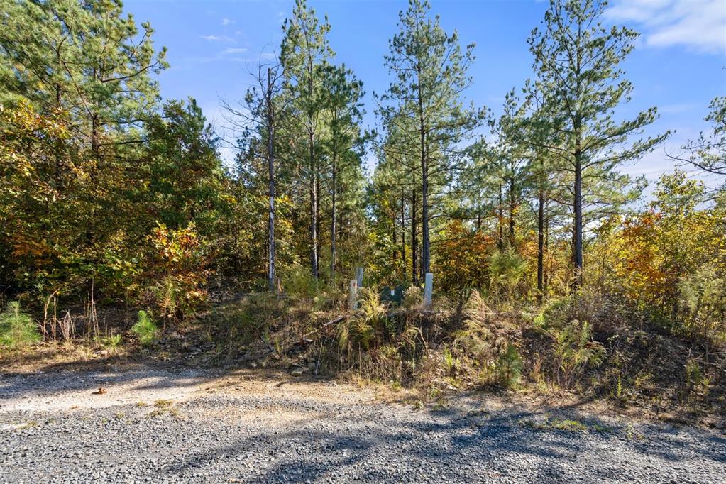 14 Gopher Wood Trail Property Photo 6