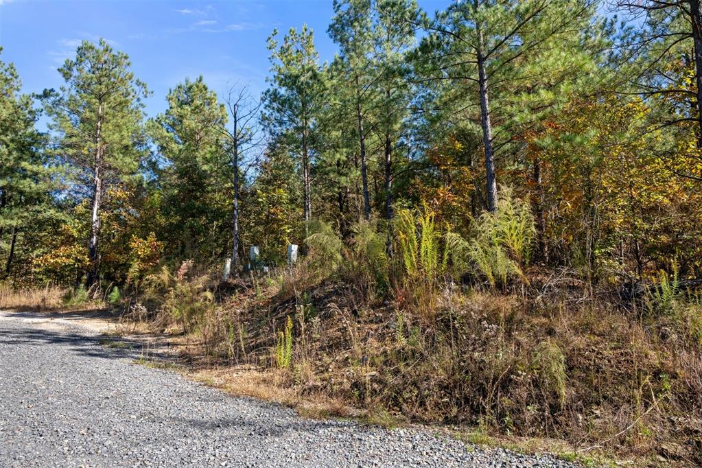 14 Gopher Wood Trail Property Photo 7