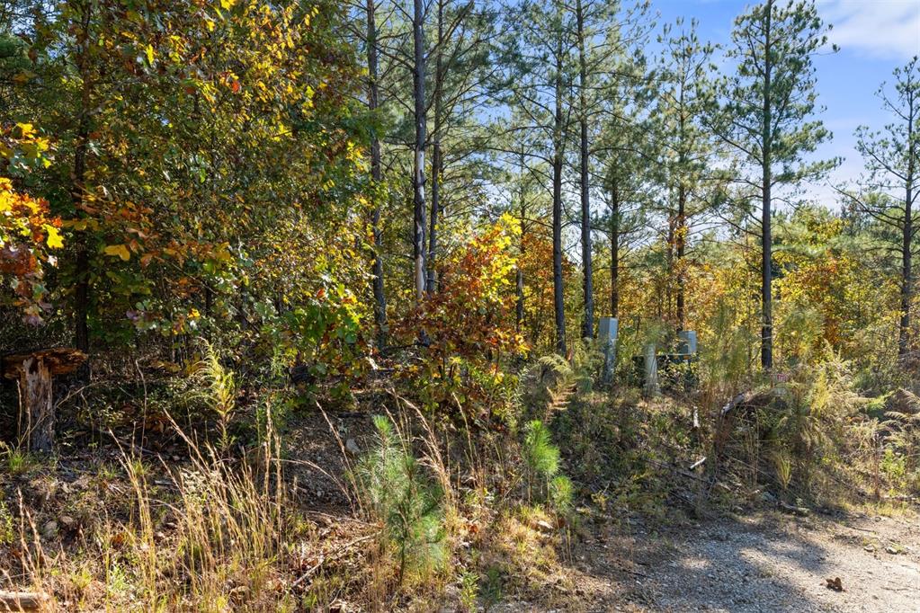 14 Gopher Wood Trail Property Photo 8