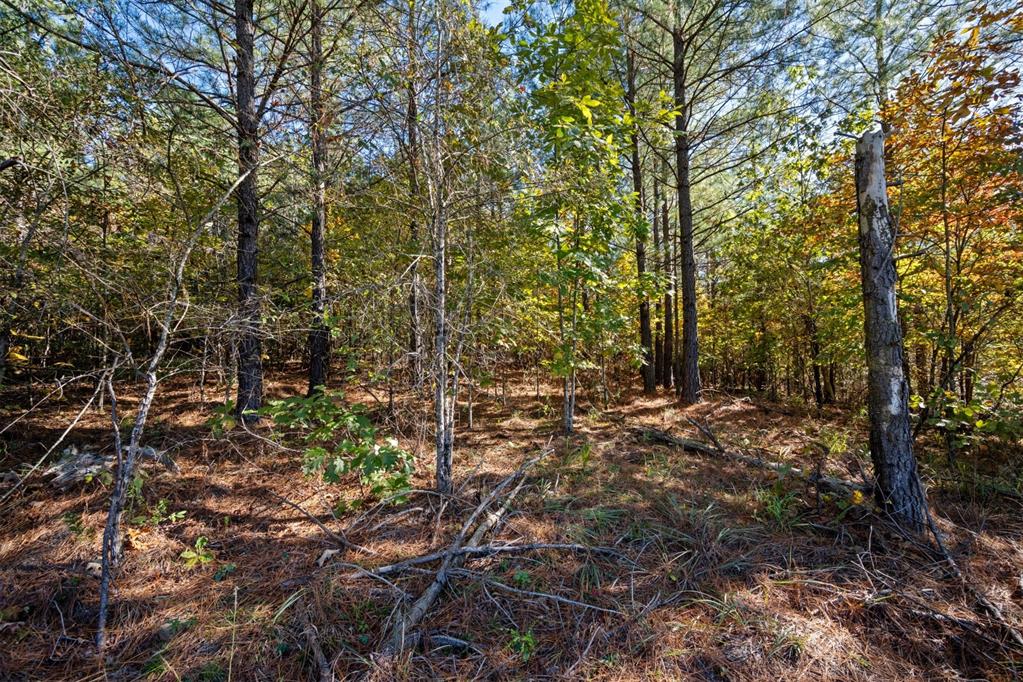 14 Gopher Wood Trail Property Photo 10