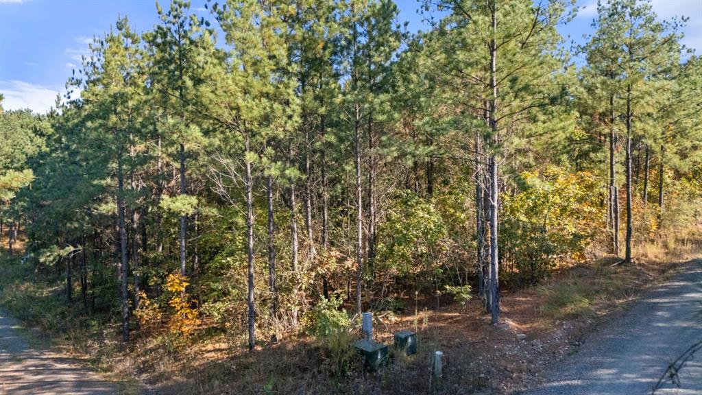 24 Cedar Tree Trail Property Photo 1