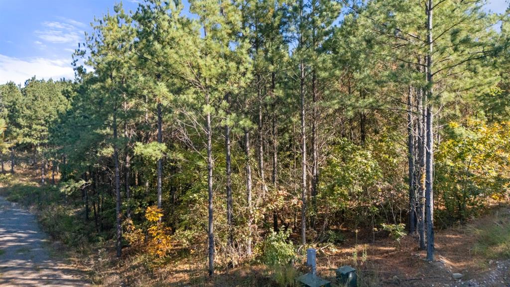 24 Cedar Tree Trail Property Photo 2