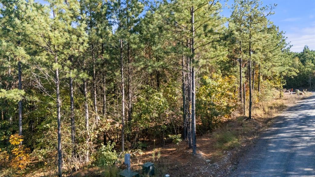 24 Cedar Tree Trail Property Photo 3