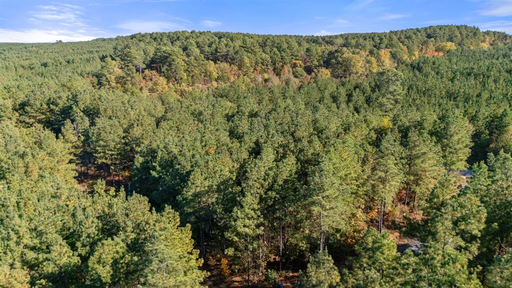 24 Cedar Tree Trail Property Photo 4