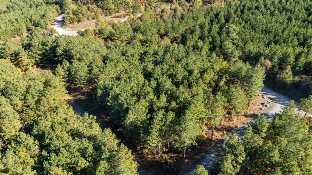 24 Cedar Tree Trail Property Photo 5