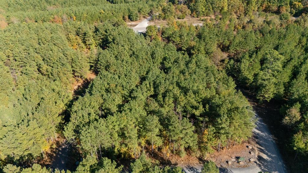 24 Cedar Tree Trail Property Photo 6