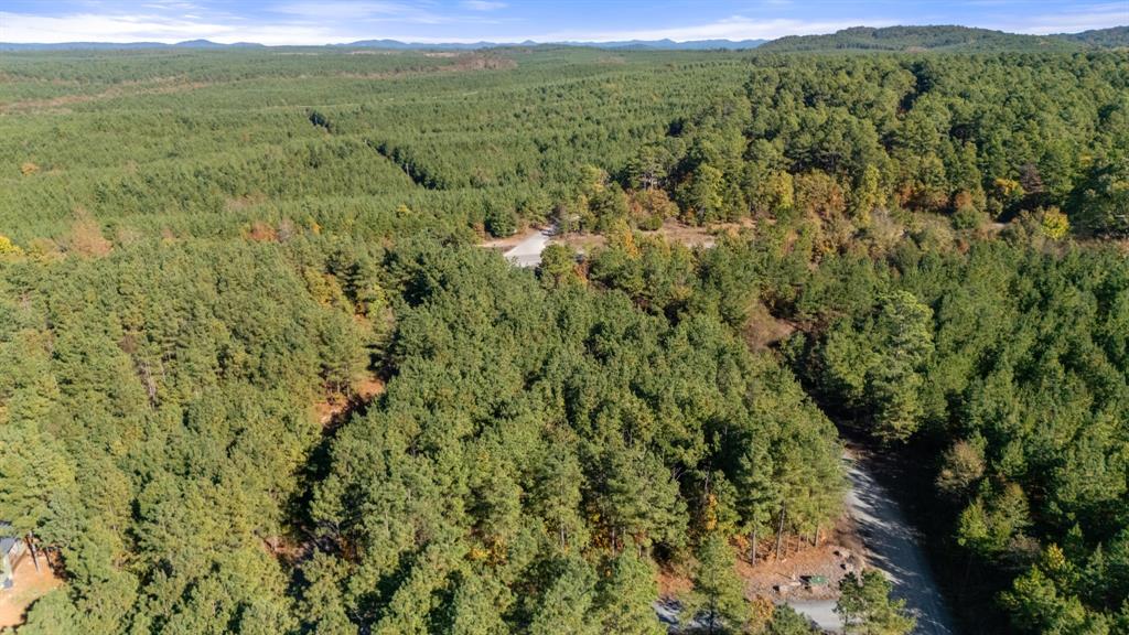 24 Cedar Tree Trail Property Photo 7