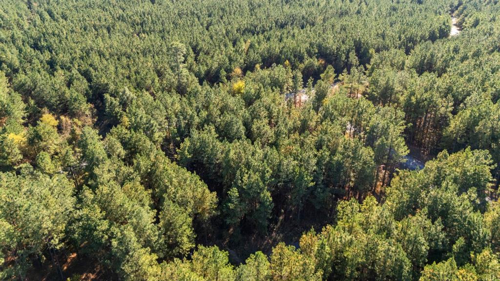 24 Cedar Tree Trail Property Photo 10