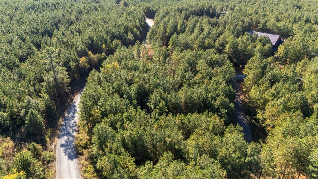 24 Cedar Tree Trail Property Photo 11