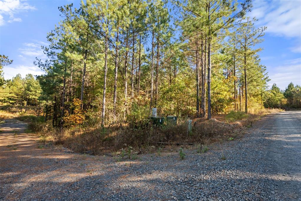 24 Cedar Tree Trail Property Photo 14