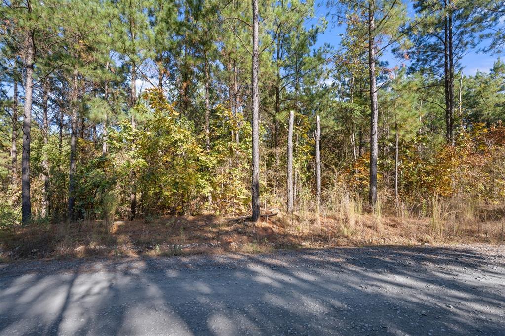 24 Cedar Tree Trail Property Photo 15