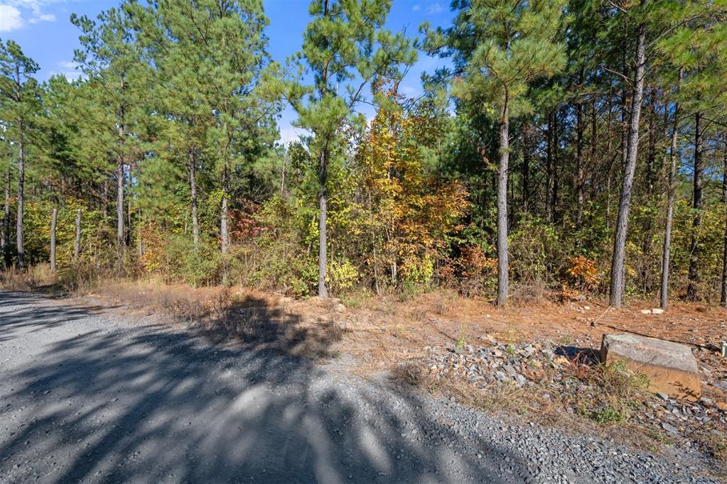 24 Cedar Tree Trail Property Photo 16
