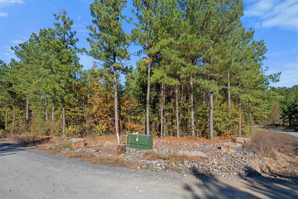 24 Cedar Tree Trail Property Photo 17