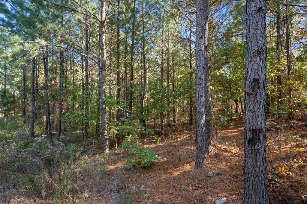 24 Cedar Tree Trail Property Photo 18
