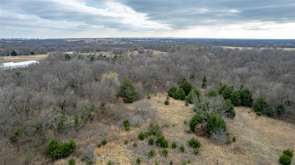 30779 Highway 29 Property Photo 21