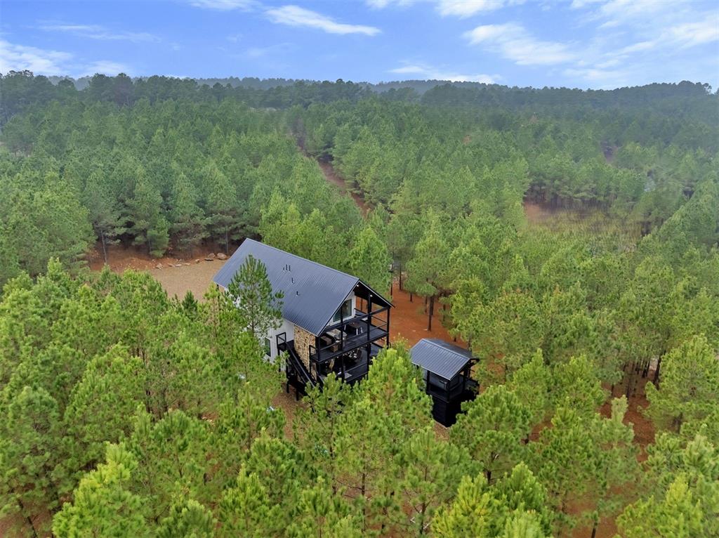 72 Green Persimmon Trail Property Photo 3