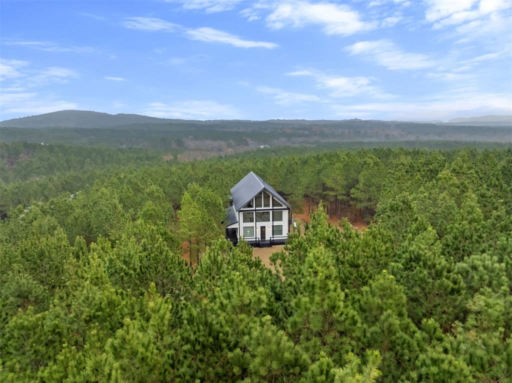 72 Green Persimmon Trail Property Photo 34
