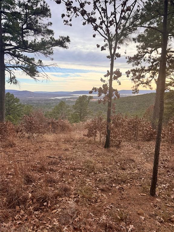 4 Timber Ridge Property Photo 3