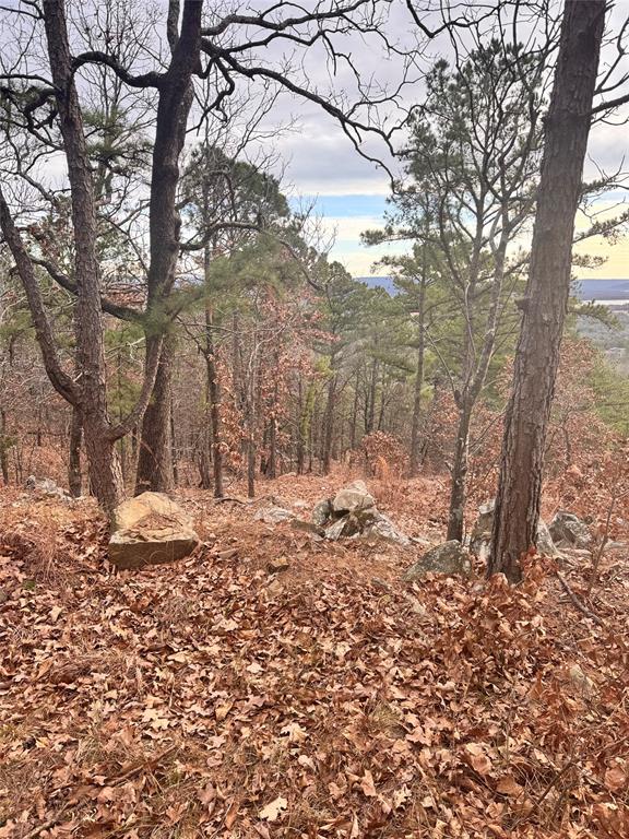 4 Timber Ridge Property Photo 4