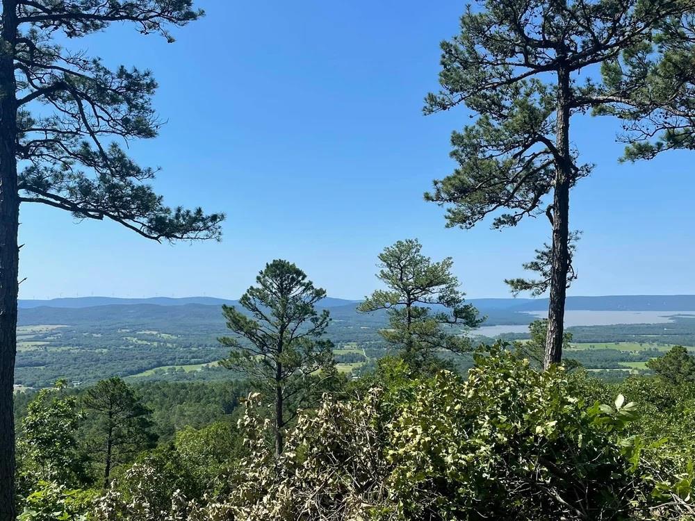 4 Timber Ridge Property Photo 6