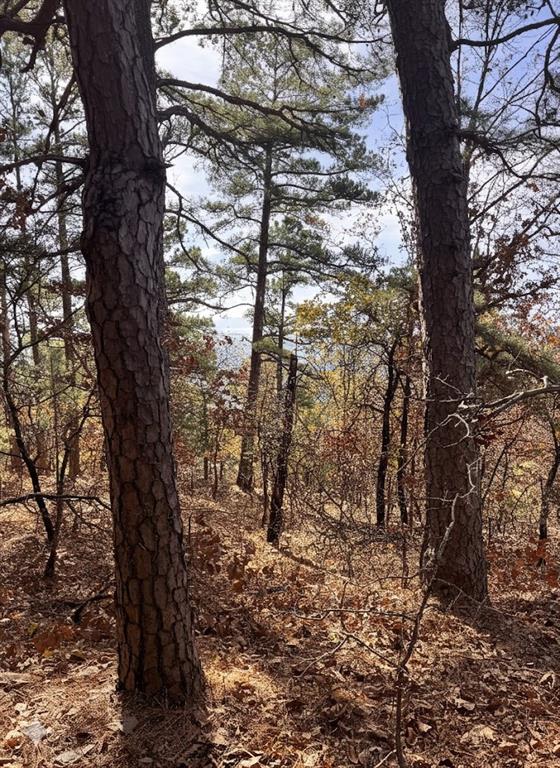 4 Timber Ridge Property Photo 9
