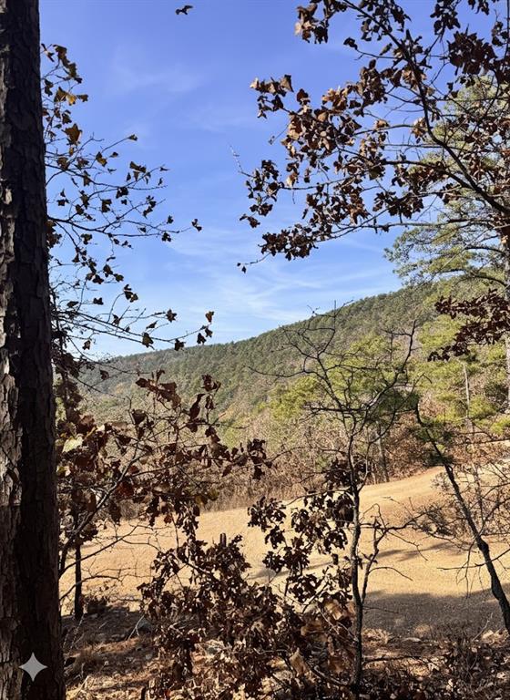 4 Timber Ridge Property Photo 10