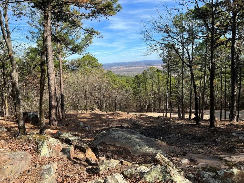 4 Timber Ridge Property Photo 13