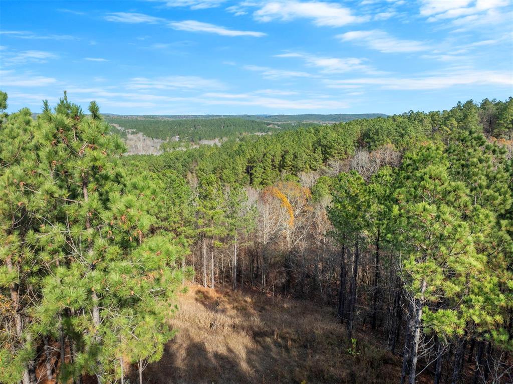 164 Timber Holler Trail Lot 504 Property Photo 1