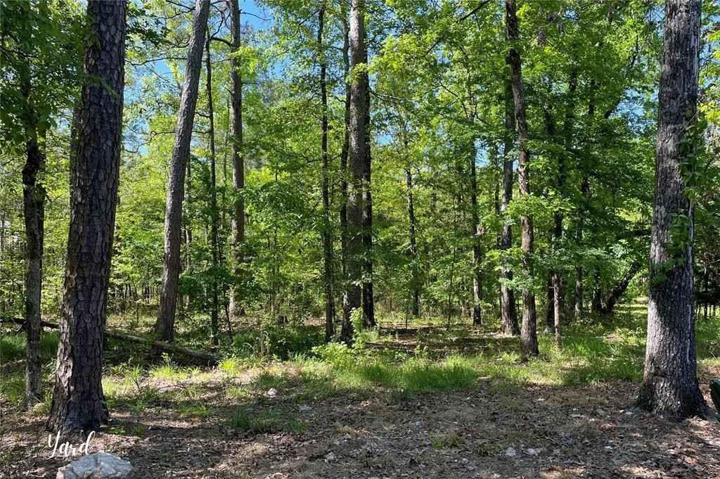 670 Pine Meadow Lane Property Photo 19
