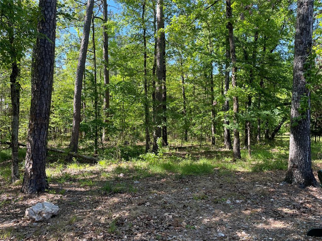 670 Pine Meadow Lane Property Photo 24