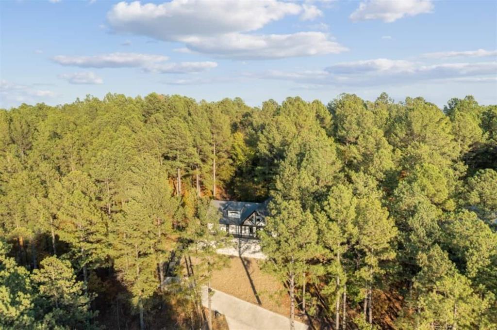 128 Sharp Holly Trail Property Photo 2