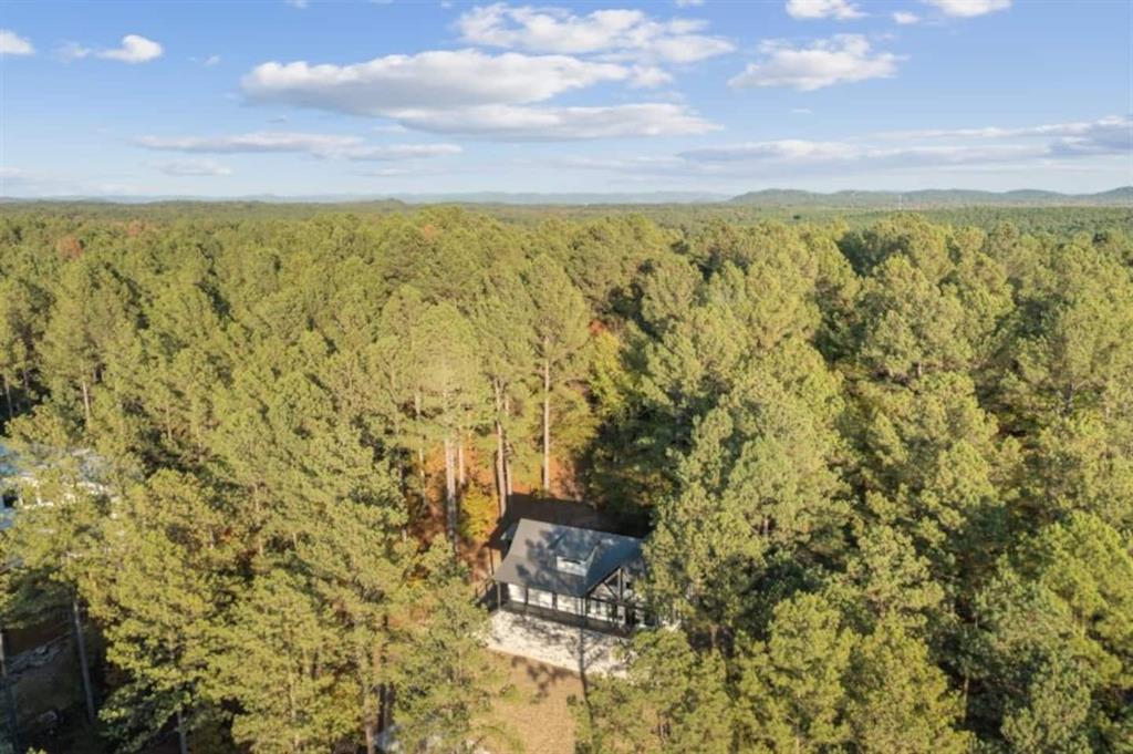 128 Sharp Holly Trail Property Photo 30