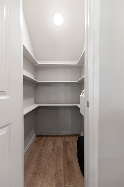 12316 Velvet Ash Avenue Property Photo 5