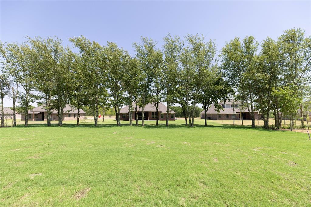 12316 Velvet Ash Avenue Property Photo 34